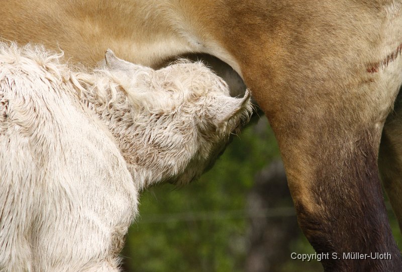 Hjoerdis 49 Min alt.JPG